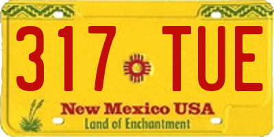 NM license plate 317TUE