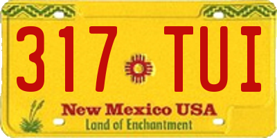 NM license plate 317TUI