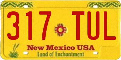 NM license plate 317TUL