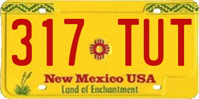 NM license plate 317TUT