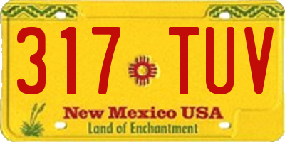 NM license plate 317TUV