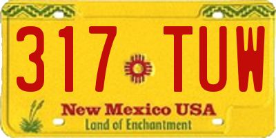 NM license plate 317TUW