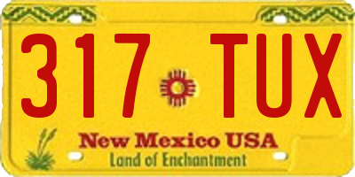 NM license plate 317TUX