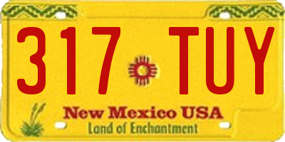 NM license plate 317TUY