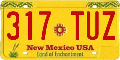 NM license plate 317TUZ