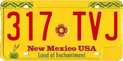 NM license plate 317TVJ