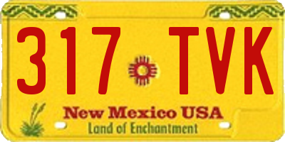 NM license plate 317TVK