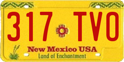 NM license plate 317TVO