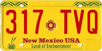 NM license plate 317TVQ
