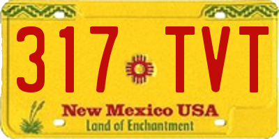 NM license plate 317TVT