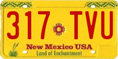 NM license plate 317TVU