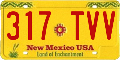 NM license plate 317TVV