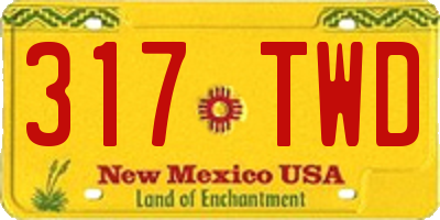 NM license plate 317TWD