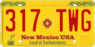 NM license plate 317TWG