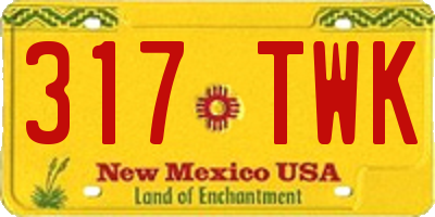 NM license plate 317TWK