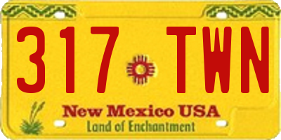NM license plate 317TWN