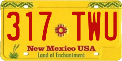 NM license plate 317TWU