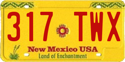 NM license plate 317TWX