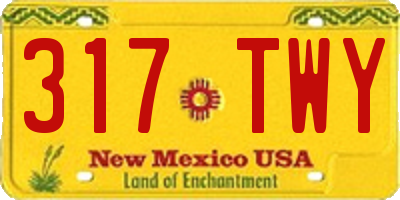 NM license plate 317TWY