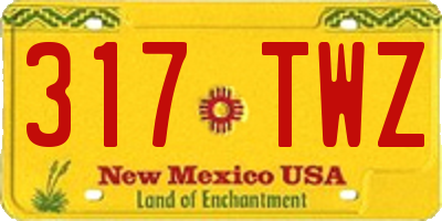 NM license plate 317TWZ
