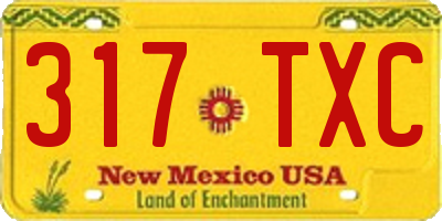 NM license plate 317TXC