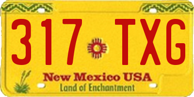 NM license plate 317TXG