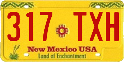 NM license plate 317TXH