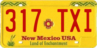 NM license plate 317TXI