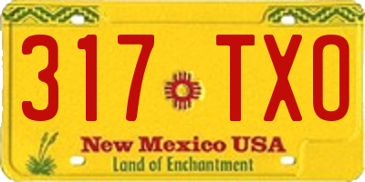 NM license plate 317TXO
