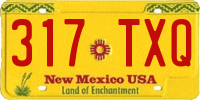 NM license plate 317TXQ