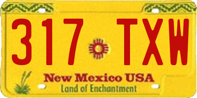 NM license plate 317TXW