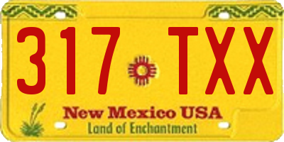 NM license plate 317TXX