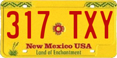 NM license plate 317TXY