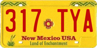 NM license plate 317TYA