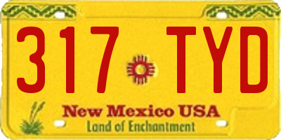 NM license plate 317TYD