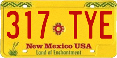 NM license plate 317TYE