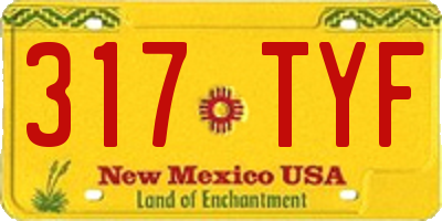 NM license plate 317TYF