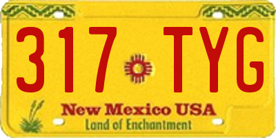 NM license plate 317TYG