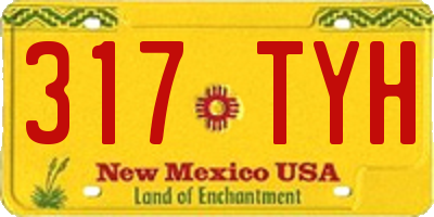 NM license plate 317TYH