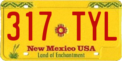NM license plate 317TYL