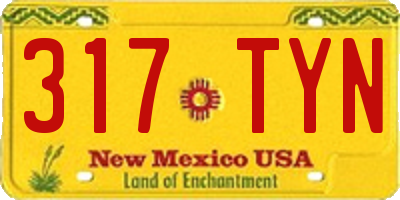 NM license plate 317TYN