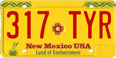 NM license plate 317TYR