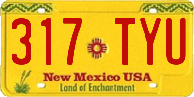 NM license plate 317TYU