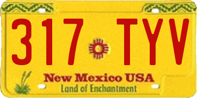 NM license plate 317TYV