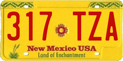 NM license plate 317TZA