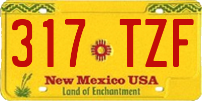 NM license plate 317TZF