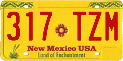 NM license plate 317TZM