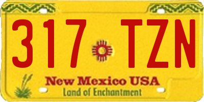 NM license plate 317TZN
