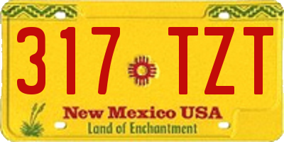 NM license plate 317TZT