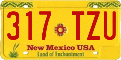 NM license plate 317TZU